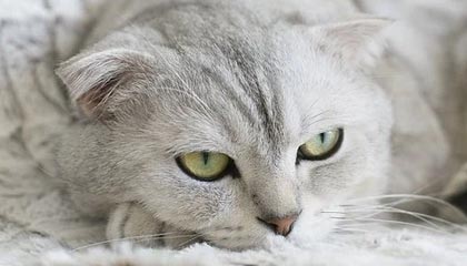 泰国纯爱电影《错时告白》内地定档5.20上映 聚焦暧昧期男女的“双相思”