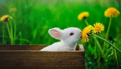 伊朗：“武装部队的手仍扣在扳机上”