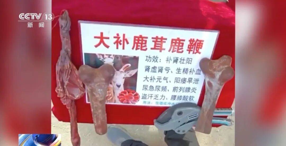 老人不买天价鹿茸被一脚踹翻，南京一团伙暴力威逼老人买单，100多人被骗，涉案金额90余万元，多数老人乖乖回家拿钱，甚至被逼去银行取款