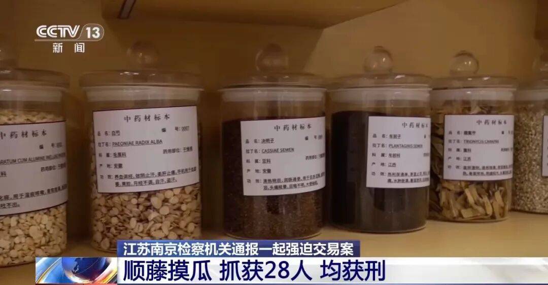 老人不买天价鹿茸被一脚踹翻，南京一团伙暴力威逼老人买单，100多人被骗，涉案金额90余万元，多数老人乖乖回家拿钱，甚至被逼去银行取款