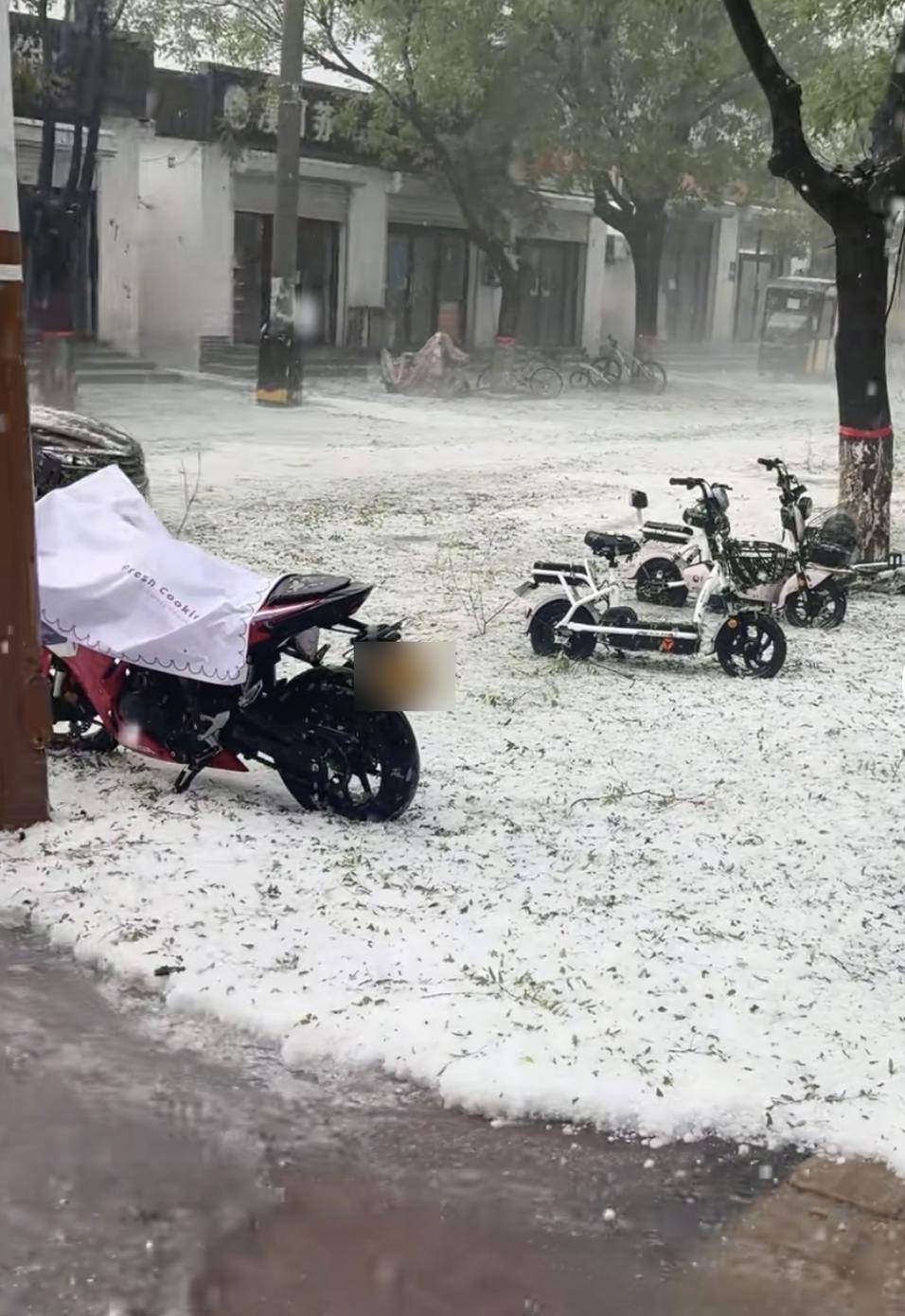河北固安突降冰雹近半小时，街面似被冰雪覆盖，当地居民：活了四十年头一次见
