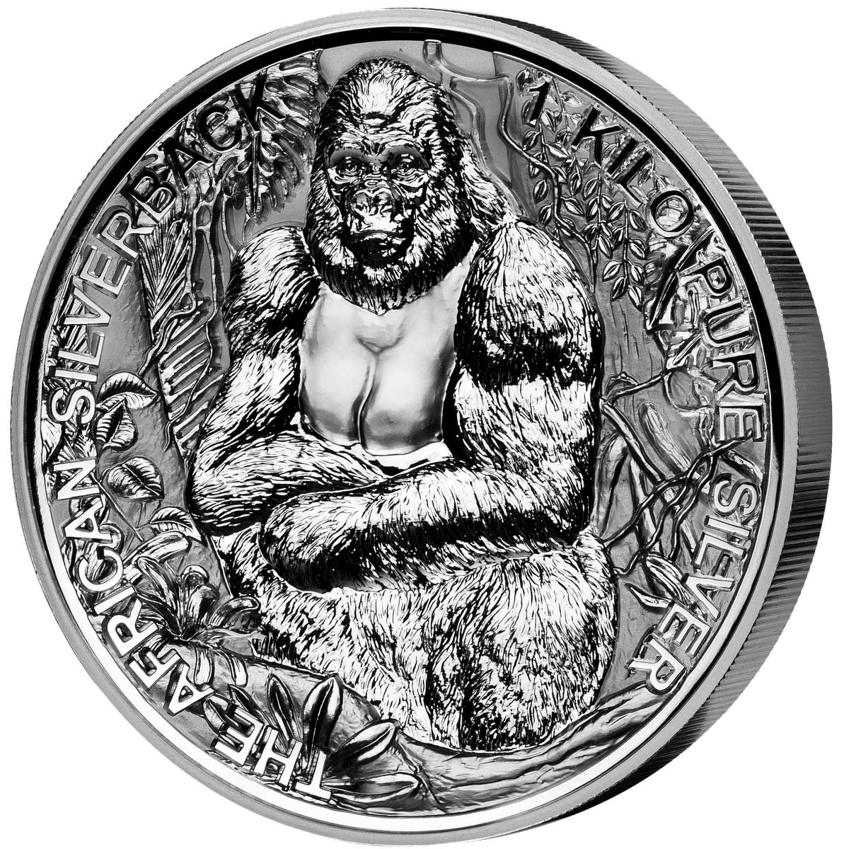 终结货币(dollar硬币)